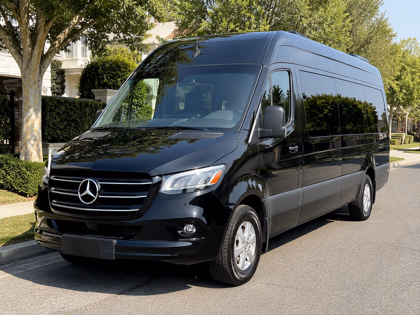 cary 18 passenger sprinter van